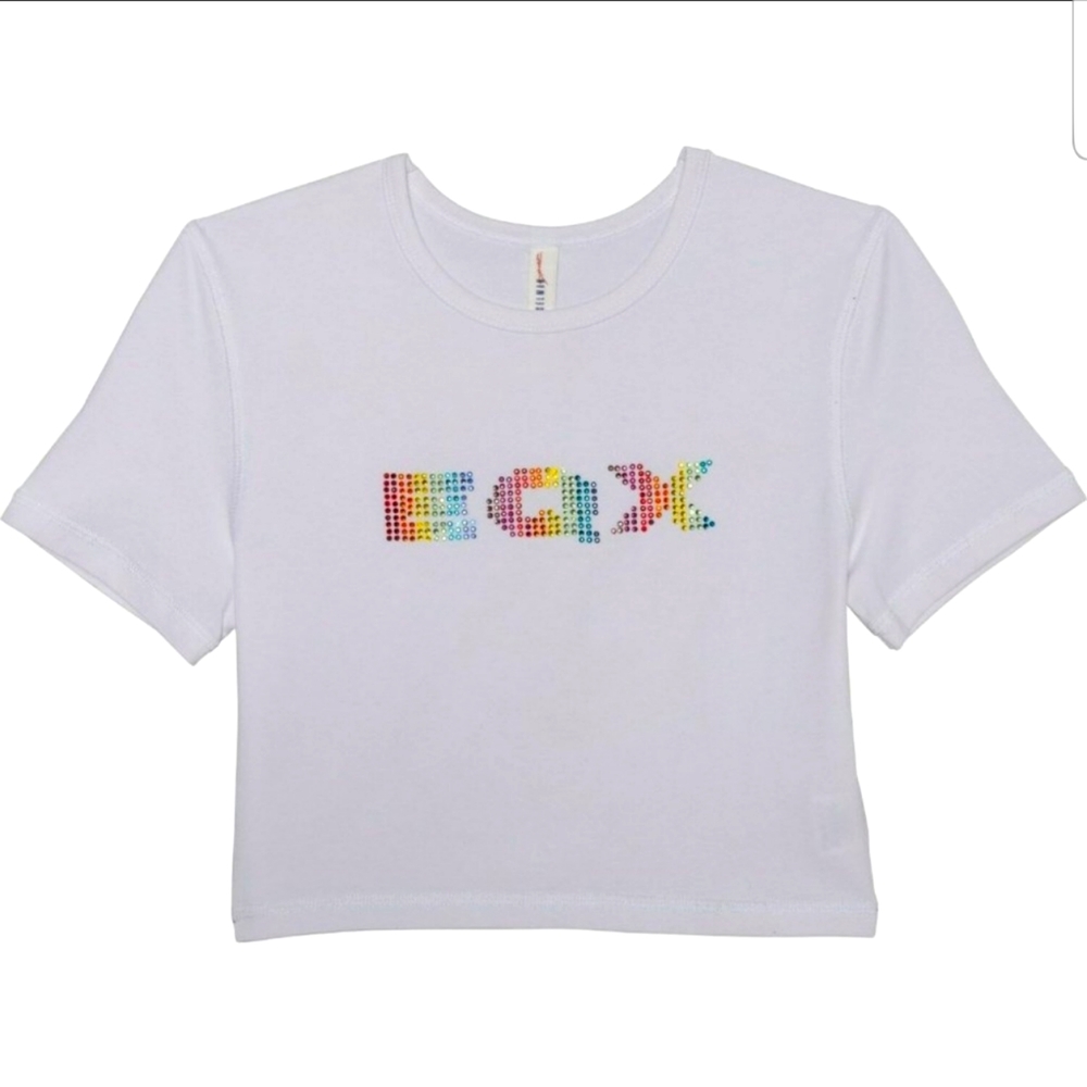 NWT Rainbow Logo Crop Top